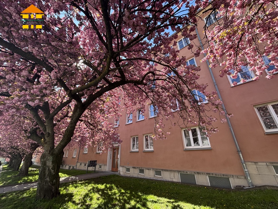 Lutherstraße 32 - WE 31 - 2-Raum-Wohnung in 09126 Chemnitz